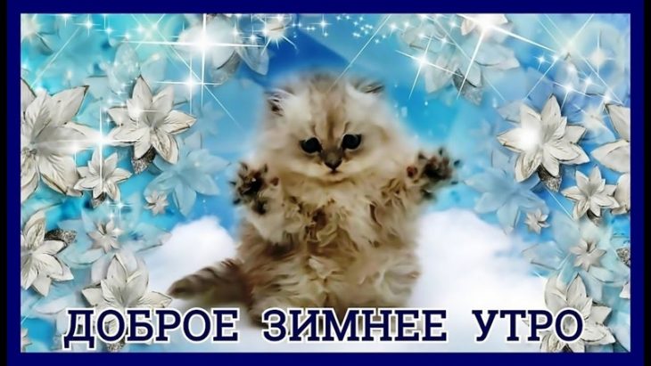 Открытки